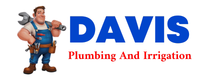 Trusted plumber in SILVER STAR